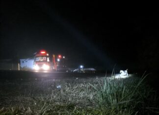 Motociclista colide com cervo na BR-282 e é levado ao hospital