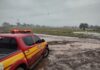 Santa Catarina envia bombeiros e cães de busca para primeiro simulado interestadual de desastres no Rio Grande do Sul