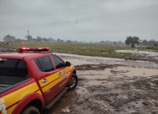 Santa Catarina envia bombeiros e cães de busca para primeiro simulado interestadual de desastres no Rio Grande do Sul
