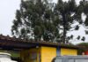 PRF apreende quase 300 quilos de maconha em carro adaptado na BR-282 em Chapecó