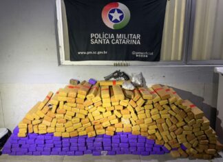 Operação da PM apreende quase 200 quilos de maconha e prende cinco pessoas em SC