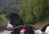 Quatro pessoas ficam feridas após acidente na Serra do Rio do Rastro