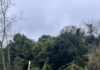 Bombeiros divulgam novas informações de acidente que resultou na morte de caminhoneiro no Oeste de SC