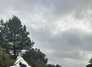 Caminhão carregado com óleo vegetal tomba às margens da BR-282 no Oeste Catarinense