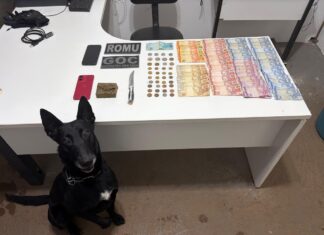 Guarda Municipal apreende maconha e prende suspeito de tráfico em área conhecida pelo comércio de drogas em Chapecó