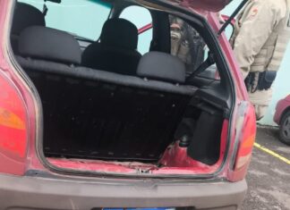Polícia Militar apreende 117 quilos de maconha e prende jovem durante operação no Oeste Catarinense