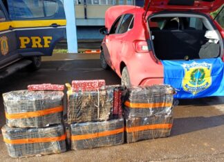 PRF apreende quase 100 quilos de maconha em carro e prende motorista no Oeste Catarinense