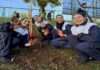 Polícia Militar Ambiental distribui 500 mudas e promove ação do Junho Verde em Chapecó