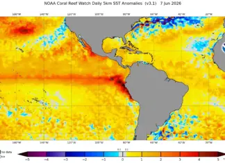 El Niño ganha força e pode se tornar um dos mais intensos da história, alerta MetSul