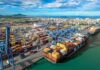 Santa Catarina registra melhor resultado da história nas exportações de carnes