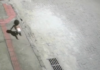 Bebê de 1 ano é encontrada engatinhando sozinha em rua durante a madrugada