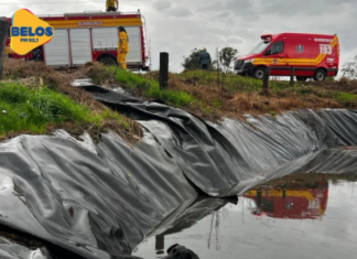 Bombeiros resgatam cão que caiu em esterqueira no Oeste de Santa Catarina