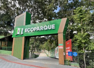 Obra em frente ao EcoParque Chapecó altera o trânsito na Avenida Getúlio Vargas