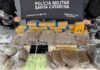 Polícia Militar apreende mais de 25 quilos de drogas e prende suspeito em Florianópolis