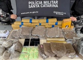 Polícia Militar apreende mais de 25 quilos de drogas e prende suspeito em Florianópolis