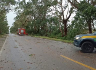 Ventos de até 104,9 km/h provocam estragos em 16 cidades do Rio Grande do Sul
