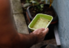 El Niño pode favorecer aumento da dengue e da chikungunya no Brasil, alerta Ministério da Saúde
