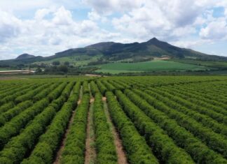 Embrapa orienta produtores do Sul a se prepararem para os impactos do El Niño nas lavouras