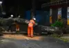 Vendaval deixa cinco mortos e provoca destruição em São Paulo e Rio de Janeiro