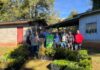 Celesc doa mais de 13 mil mudas nativas para recuperação ambiental em Santa Catarina