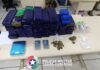 Polícia Militar desarticula ponto de tráfico e apreende cerca de 30 kg de maconha em SC