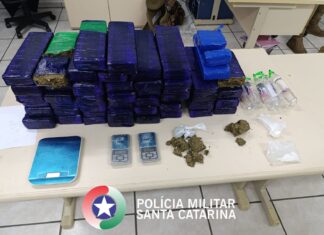 Polícia Militar desarticula ponto de tráfico e apreende cerca de 30 kg de maconha em SC