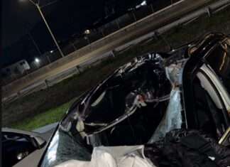 VÍDEO: Influenciador de Concórdia se envolve em acidente após carro atingir cavalo na BR-101