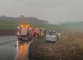 VÍDEO: Micro-ônibus sai da pista na BR-282 no Oeste Catarinense