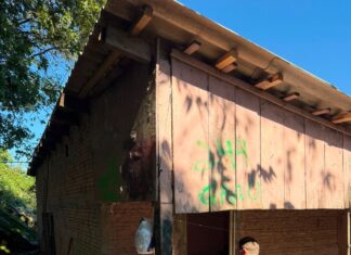 Operação da Polícia Civil prende jovem e apreende drogas, arma e munições no Oeste Catarinense