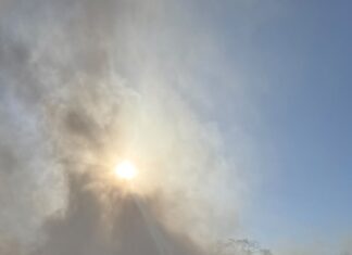 Incêndio em vegetação ameaça estacionamento com 100 carretas e mobiliza bombeiros em Chapecó