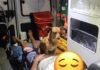 Cachorro caramelo acompanha tutor em ambulância e emociona equipe do Samu em SC