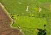Pesquisa revela quase 400 novos geoglifos escondidos na Amazônia e amplia mistério sobre povos antigos