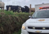 Homem morre após ser atacado por vaca em propriedade rural no Oeste de SC