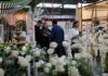 Moda, bem-estar e experiências marcam a programação deste sábado na Feira Bem Casados
