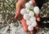 Temporais deixam rastro de destruição em 128 cidades do Rio Grande do Sul