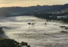 Serra de Santa Catarina amanhece com temperaturas abaixo de zero e carros cobertos de gelo