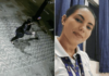 Mulher pede socorro após ser esfaqueada pelo ex-companheiro