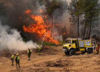 Incêndios florestais obrigam 330 mil pessoas a deixar suas casas na França e Espanha