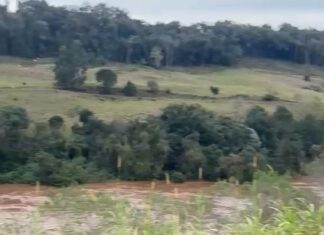 Corpo de mulher é encontrado boiando no Rio do Peixe no Meio-Oeste de SC