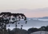 Massa de ar frio derruba temperaturas em Santa Catarina; veja a previsão para os próximos dias