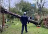 Rio Grande do Sul: chuvas deixam 720 desabrigados em Eldorado do Sul