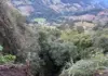 Deslizamento de terreno preocupa moradores no Oeste e gera risco em área residencial