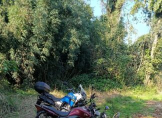 Guarda Municipal recupera quatro motocicletas furtadas em área conhecida por abandono de veículos em Chapecó
