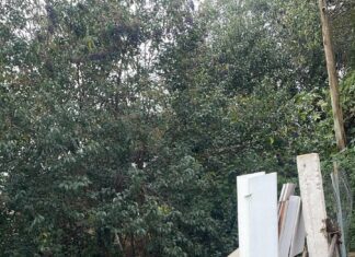 Nova denúncia do Chapecó Mais Limpa aponta descarte irregular de lixo na rua Tomé de Sousa