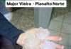 Temporal provoca estragos em escola, casas e área rural no Norte de SC