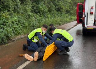 VÍDEO: Motociclista fica ferida após atropelar guaxinim e cair no Contorno Viário Oeste, em Chapecó