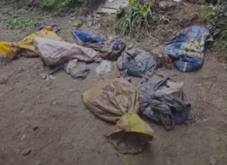 Dezenas de cães mortos são encontrados dentro de sacos de lixo em SC
