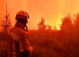 Bélgica enfrenta maior incêndio florestal em 115 anos e fogo já atinge 3 mil hectares