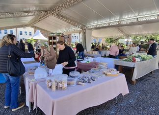 Chapecó mantém Feira de Mudas no feriado da Independência
