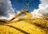 Produção agrícola brasileira alcança R$ 927 bilhões em 2025, aponta IBGE